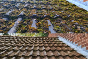 Roof Cleaning: Safe Professional Soft Washing to Remove Moss, Algae, and Protect Your Home’s Roof Long-Term